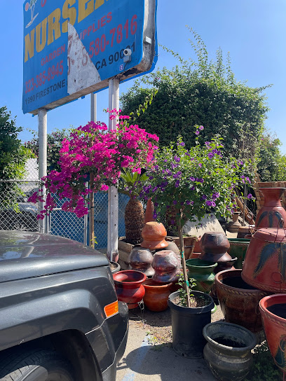 Firestone Nursery