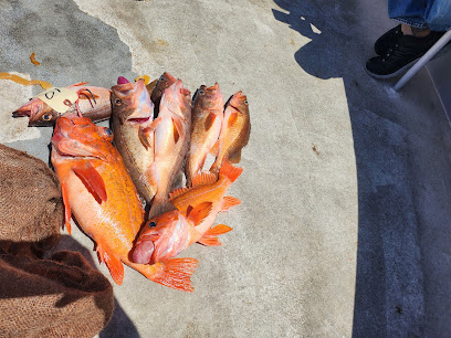 Marina Del Rey Sportfishing