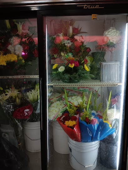 PLANTTAS Plant Shop