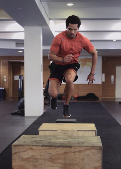 Hyena Rehab & Performance (Doctor of Physical Therapy)