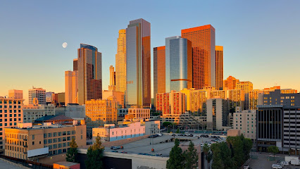 Rehabilitation Center of Los Angeles