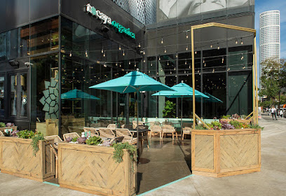 Tocaya Modern Mexican