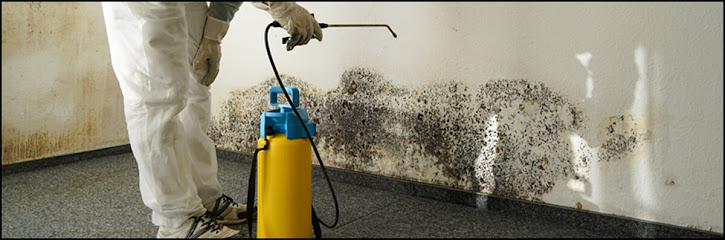 Moldoovia Certified Mold Inspector