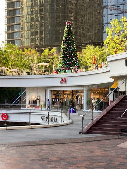 H&M