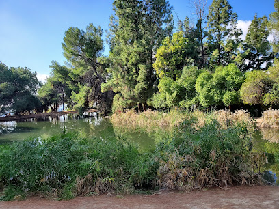 Debs Lake