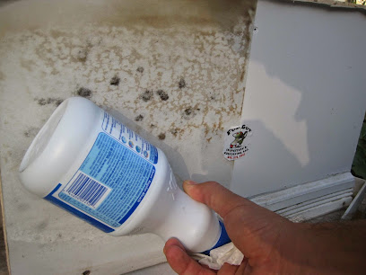 Mold Inspections Los Angeles