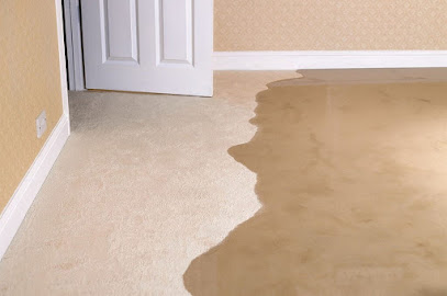 Excelente Mold Inspections Los Angeles