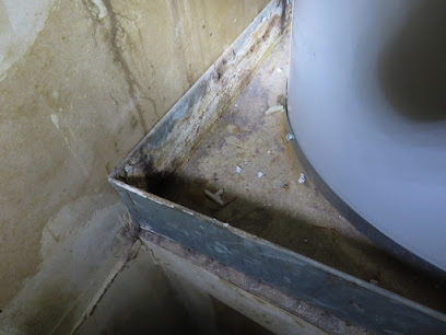Golden State Mold Inspections