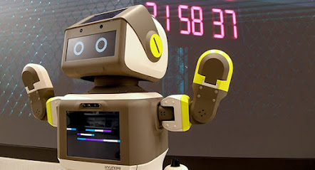Robotina's Domestic Agency
