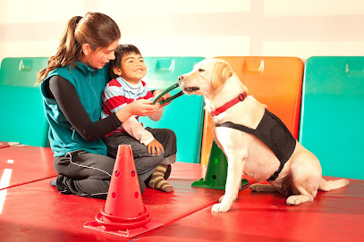 ABA Training & Certification Center