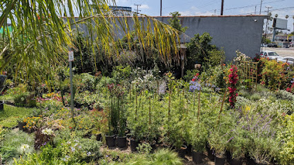 Flower Nursery