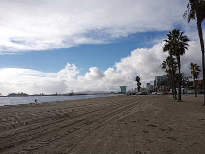 Long Beach City Beach
