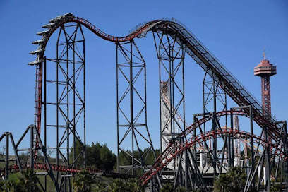 Six Flags Magic Mountain
