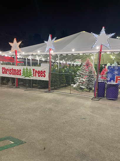 Cougar Mountain Christmas Trees and Pumpkin Patch