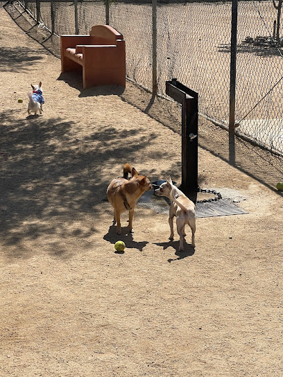 Hermon Dog Park