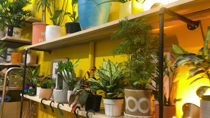 Latinx with Plants
