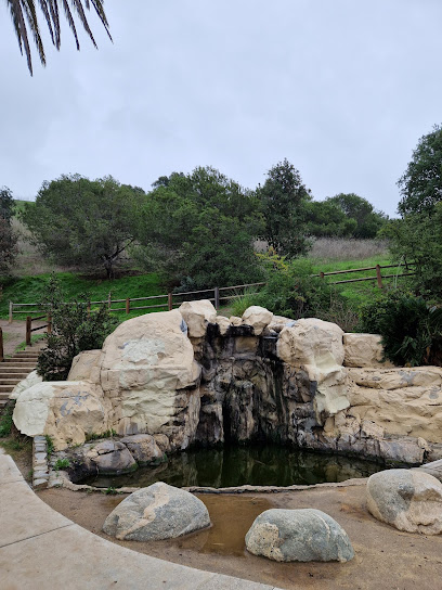 Randi's Waterfall
