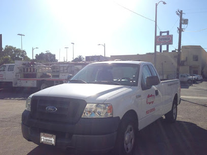 Dewey Pest & Termite Control