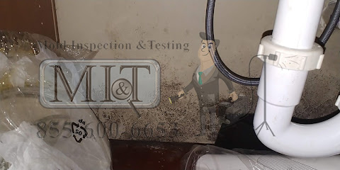 Mold Inspection & Testing Los Angeles