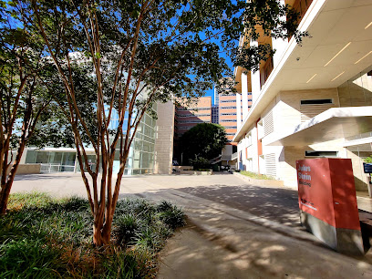 UCLA Stein Eye Institute