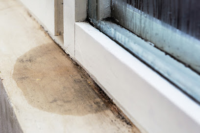 AWA Environmental - Los Angeles Mold Inspectors