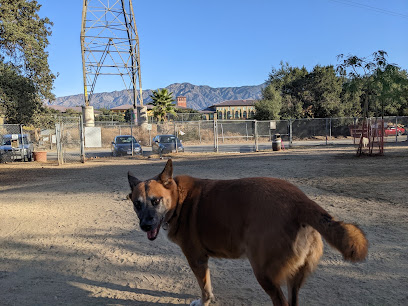 Griffith Park Dog Park