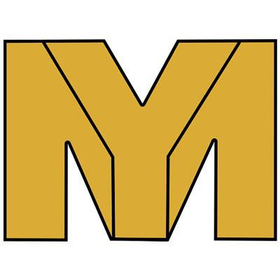 Michael Yadegari LA Law Group Personal Injury Employment and Accident Attorneys