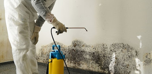 LA Mold Testing Inc.