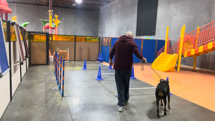 South Park Doggie - Doggieland (LA)