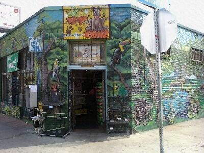 Junior's Pet Zone
