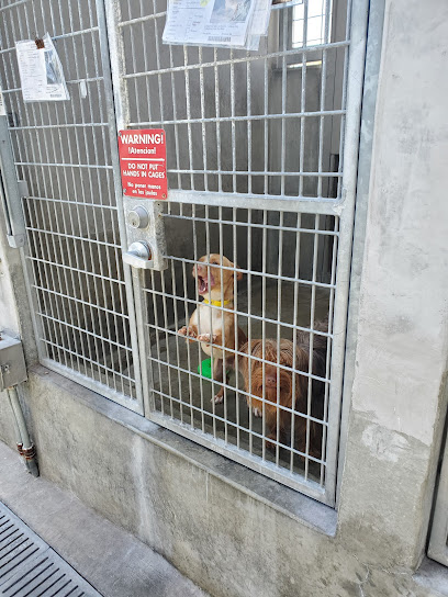 South LA Animal Shelter