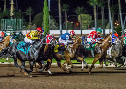 Hipódromo Los Alamitos