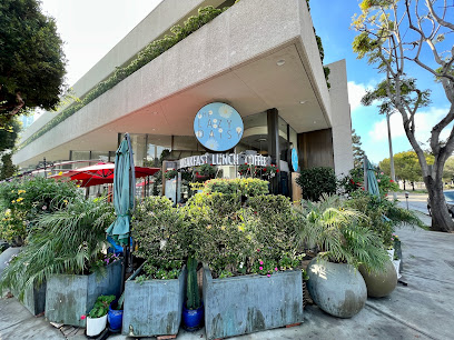 Lazy Daisy - Westwood, Los Ángeles