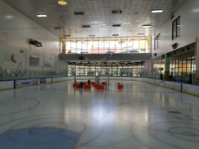 LA Kings Ice