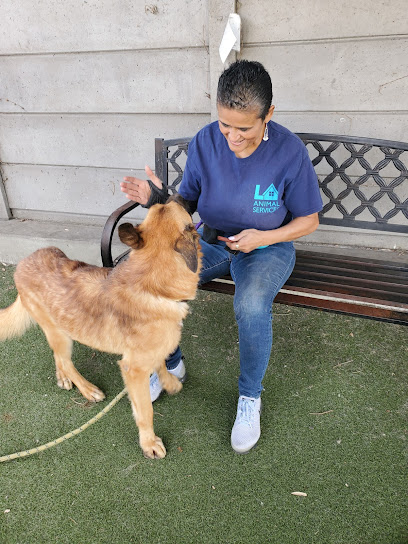 Centro de cuidado de animales del sur de Los Ángeles