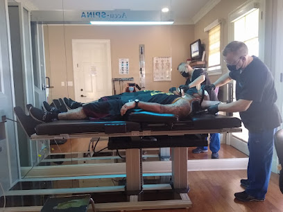 The Chiropractic Wellness Center