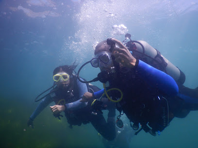 Scuba Diving Paradise
