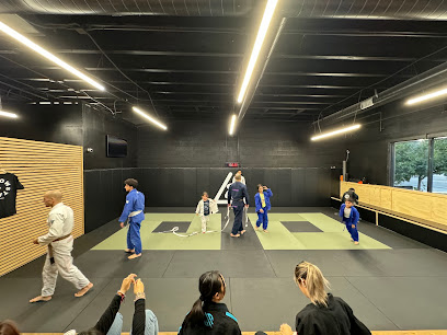 Flow State Jiu-Jitsu