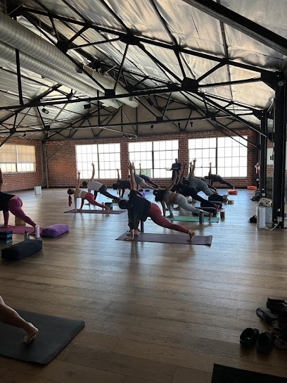 The Tree Yoga Cooperative