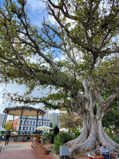 America Tropical Interpretive Center