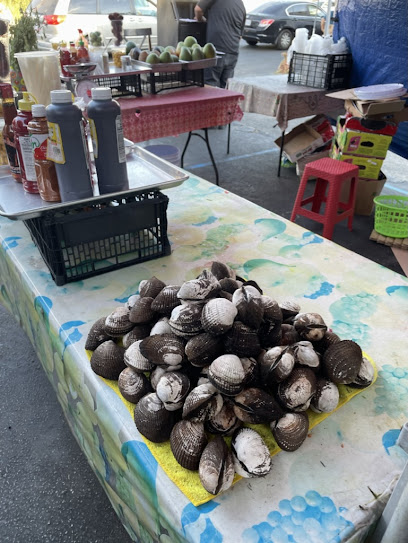 Ceviche de concha